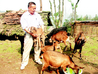 习水生态畜牧 六畜兴旺奔小康