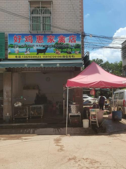 专业收购土狗与家禽销售，诚信合作共创价值