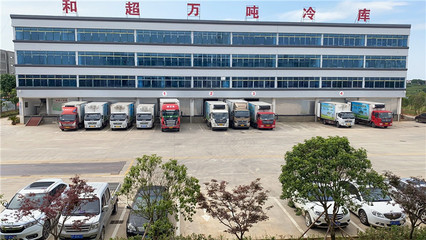 多元经营拓富路，家禽产业链赋能乡村振兴——安徽和超禽业科技集团实践纪实