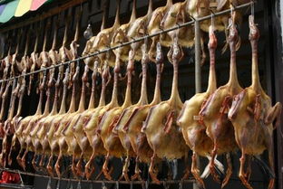 舌尖上的南平 六大家禽销售风味探秘