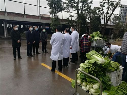 战疫情暖人心 达川区青包山种植专业合作社捐赠蔬菜6000斤支援达州南方医院