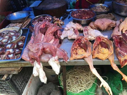 农村家禽养殖销路怎么找？这4个销售途径很管用